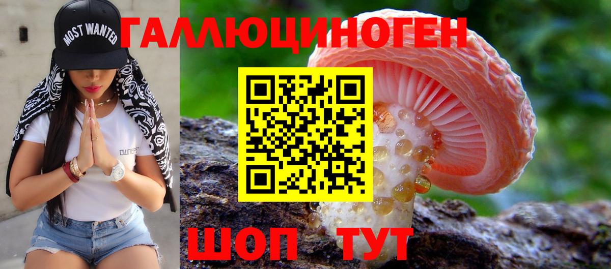 Псилоцибиновые грибы прущие грибы Дзержинский