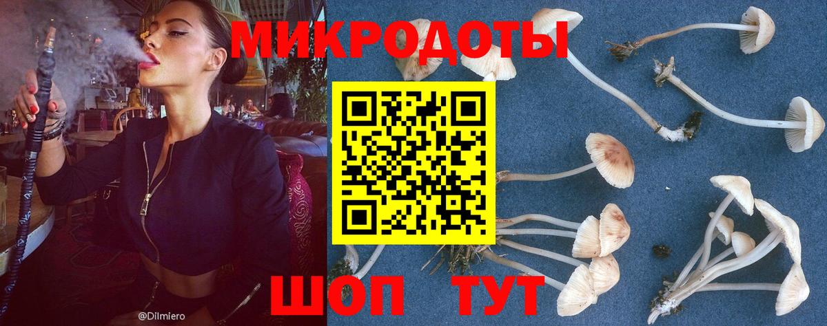 Дзержинский  Галлюциногенные грибы MAGIC MUSHROOMS  купить  цена  Вход с VPN 